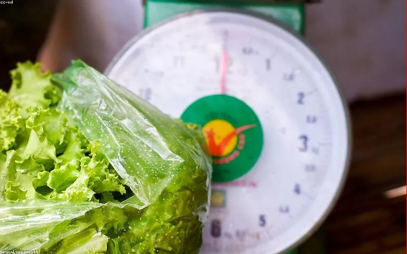 A person tracking their diet with healthy food and a scale